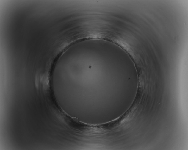 X0000088470347200705291553