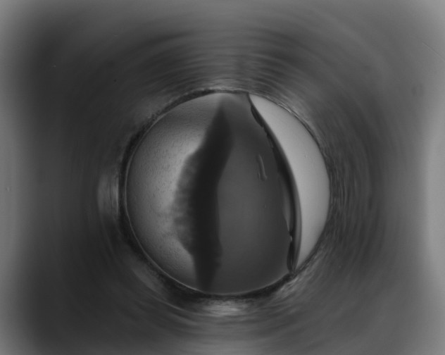 X0000088470349200705291553