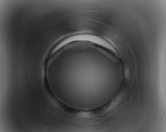 X0000088470350200705291553