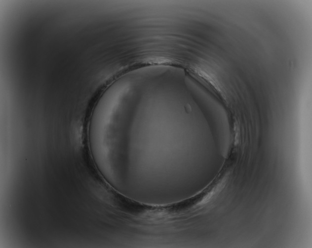 X0000088470351200705291553