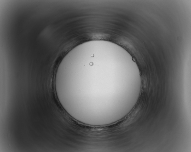 X0000088470357200705291553