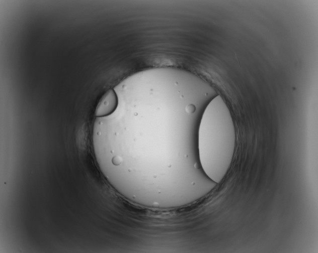 X0000088470359200705291553