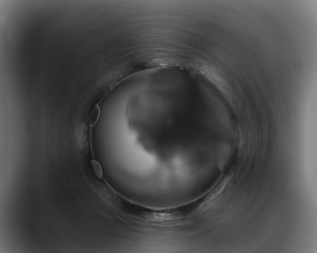 X0000088470361200705291553