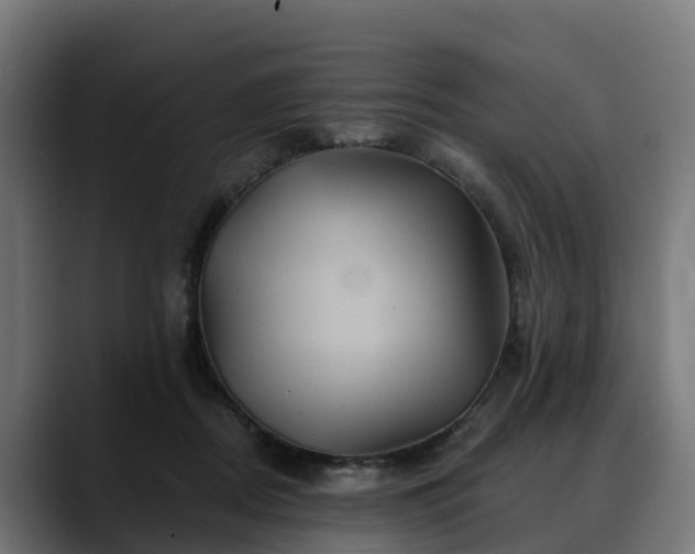 X0000088470362200705291553