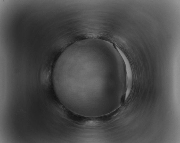 X0000088470364200705291553