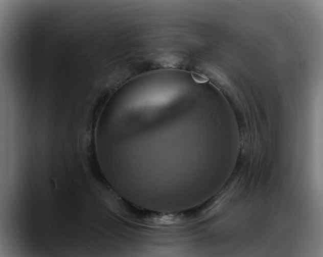 X0000088470365200705291553