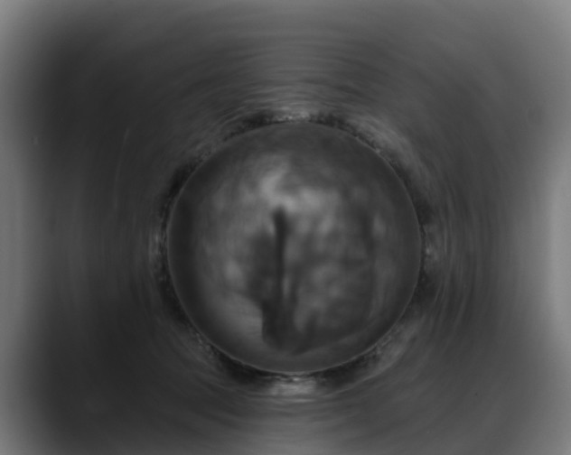 X0000088470369200705291553