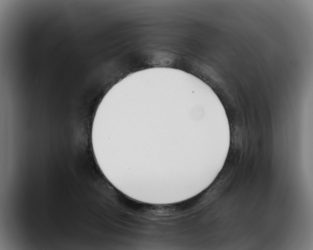 X0000088470370200705291553