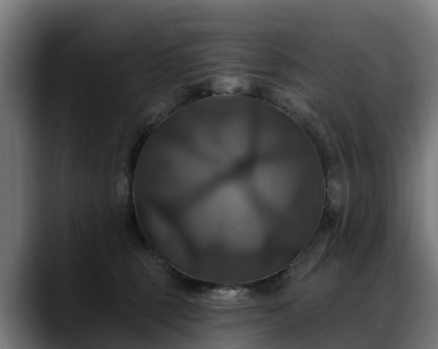 X0000088470375200705291553