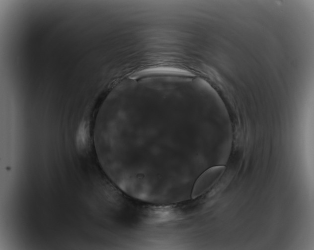 X0000088470377200705291553