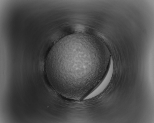 X0000088470379200705291553