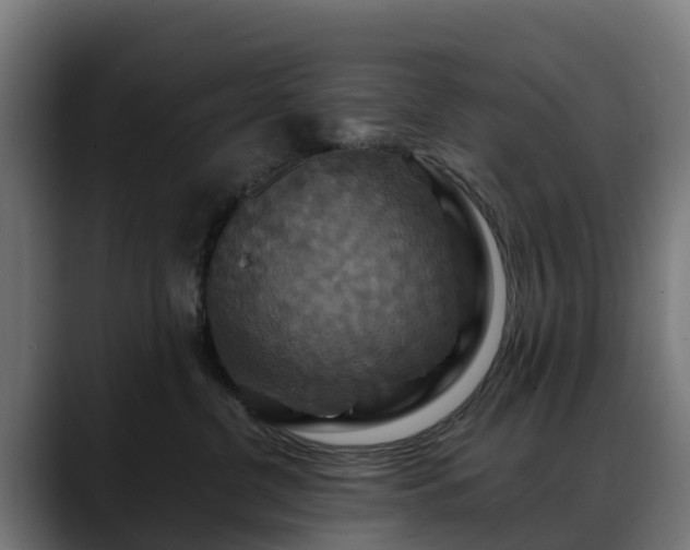 X0000088470380200705291553