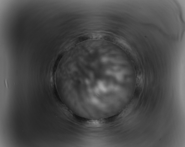 X0000088470381200705291553