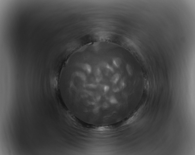 X0000088470382200705291553