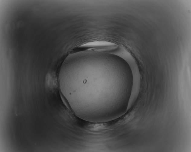 X0000088470384200705291553