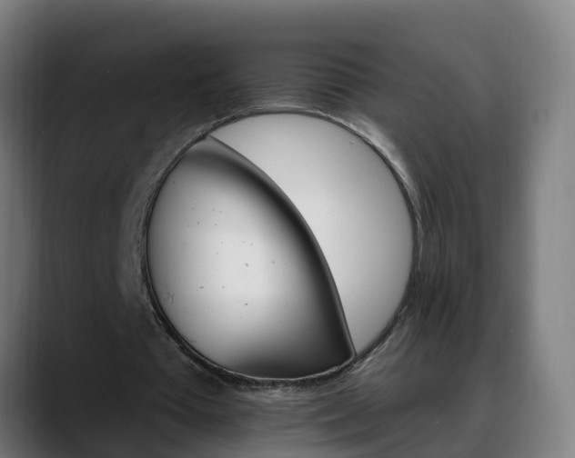 X0000088470385200705291553