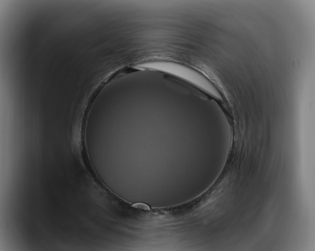 X0000088470386200705291553