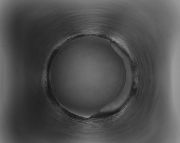 X0000088470388200705291553