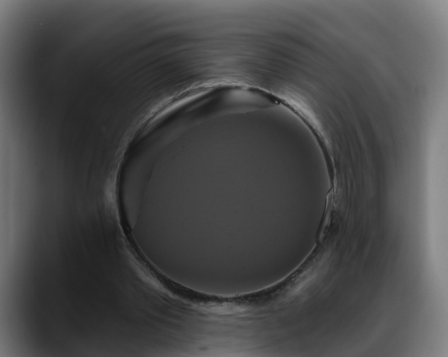 X0000088470389200705291553