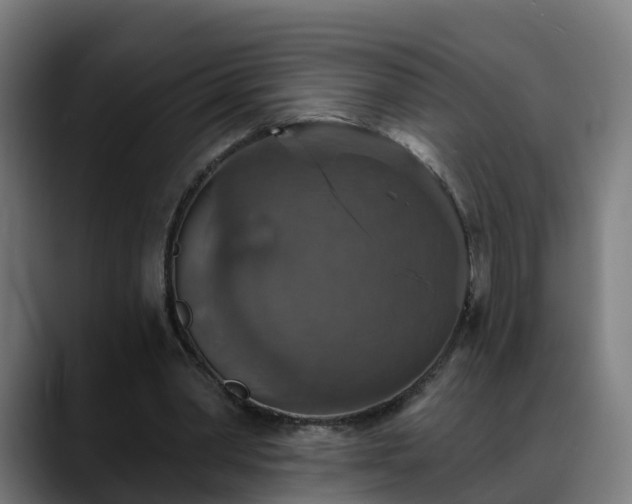 X0000088470390200705291553