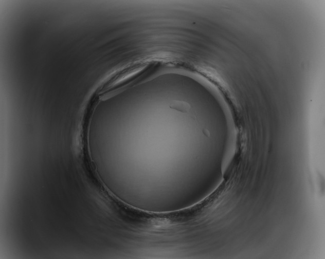 X0000088470392200705291553