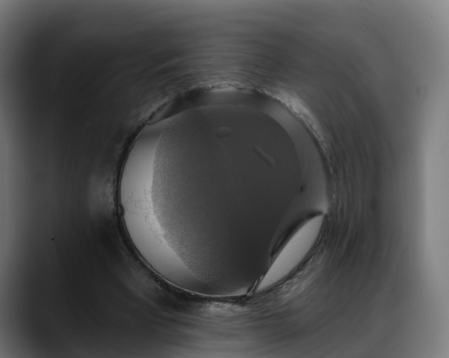 X0000088470393200705291553