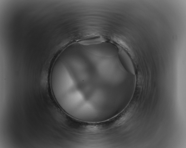 X0000088470394200705291553