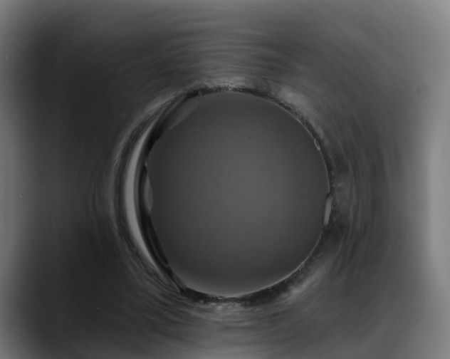 X0000088470395200705291553