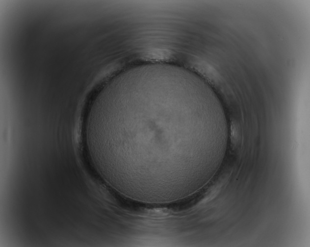 X0000088470396200705291553