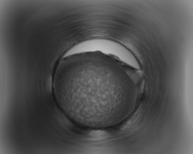 X0000088470397200705291553