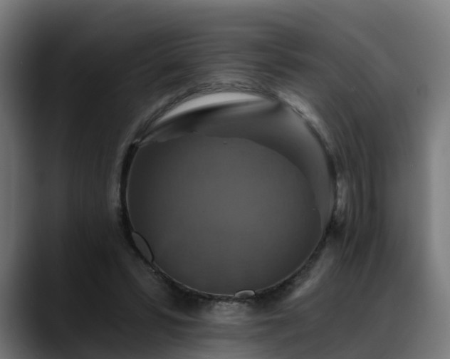 X0000088470399200705291553