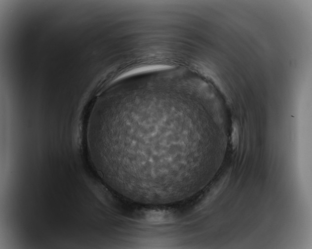 X0000088470400200705291553