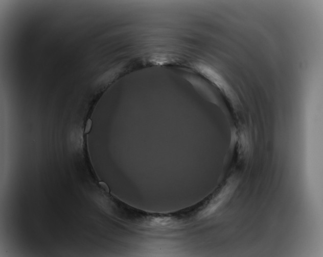 X0000088470401200705291553