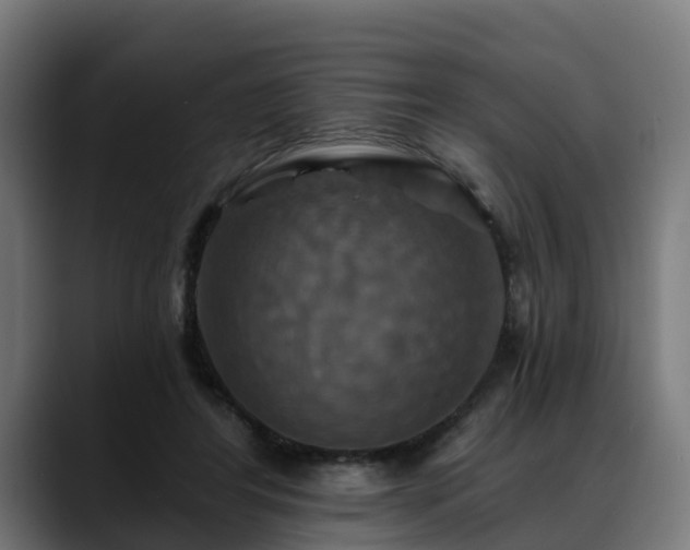 X0000088470404200705291552