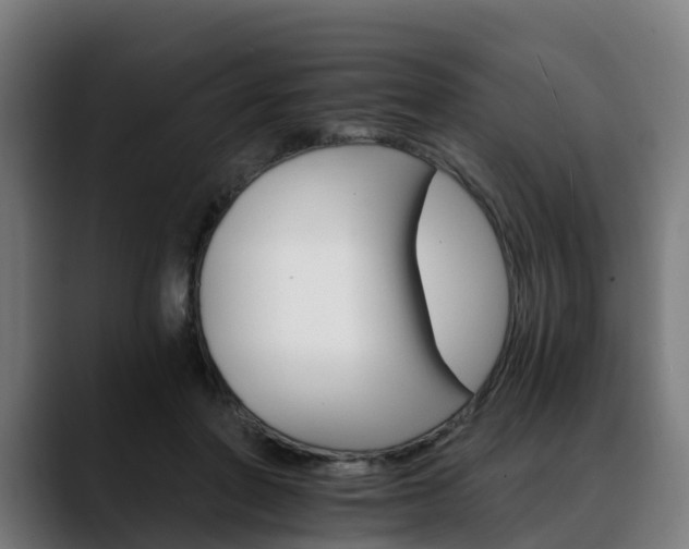 X0000088470406200705291552