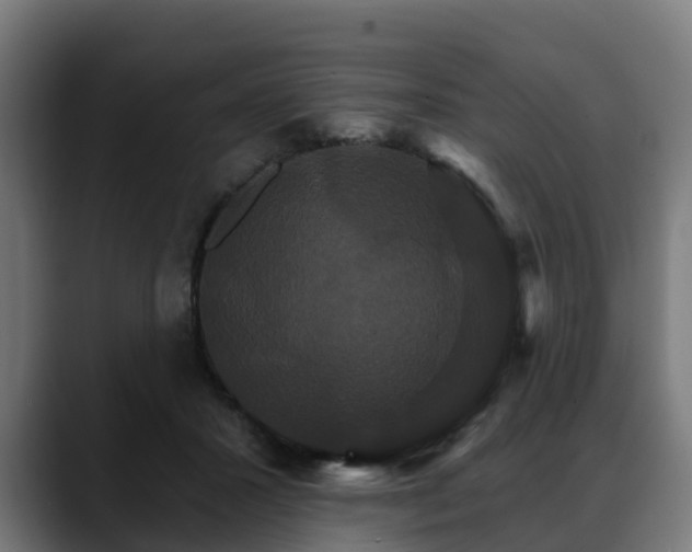 X0000088470407200705291552