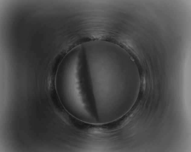 X0000088470408200705291552