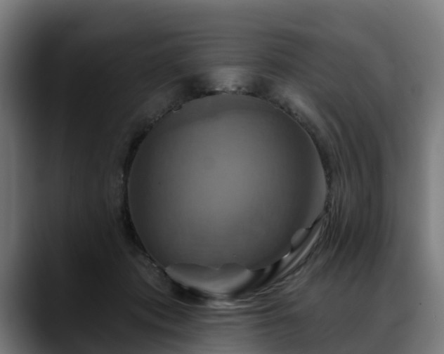 X0000088470413200705291552