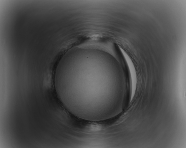 X0000088470416200705291552