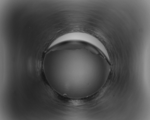 X0000088470417200705291552