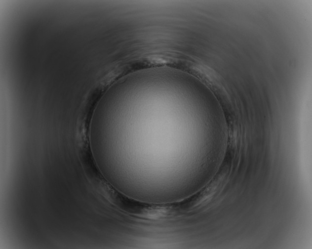 X0000088470418200705291552