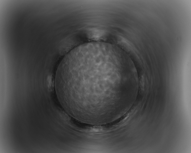 X0000088470420200705291552