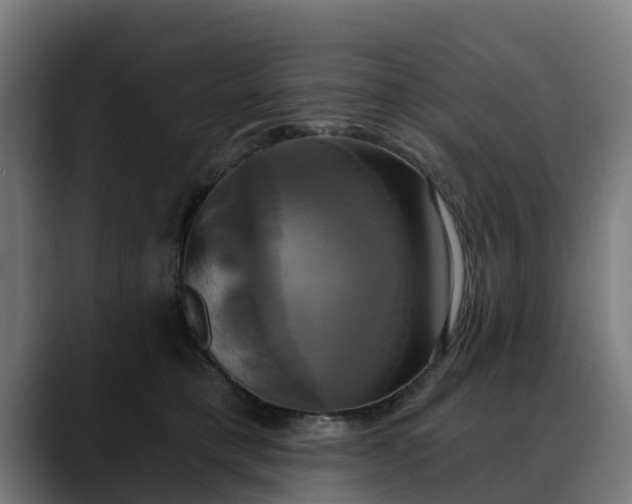 X0000088470421200705291552