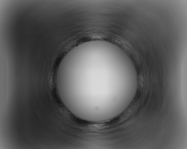 X0000088470422200705291552