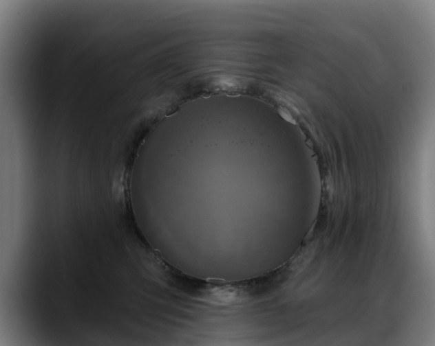 X0000088470423200705291552