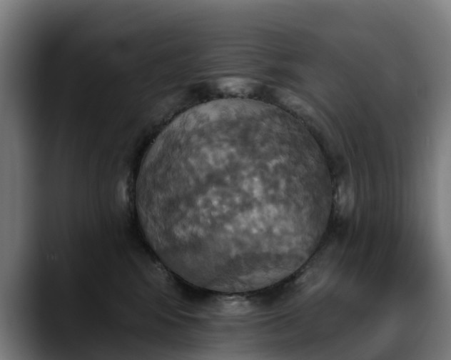 X0000088470424200705291552