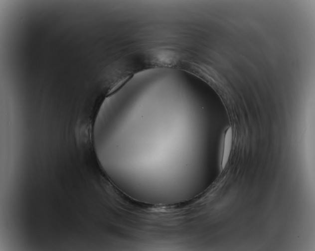 X0000088470425200705291552