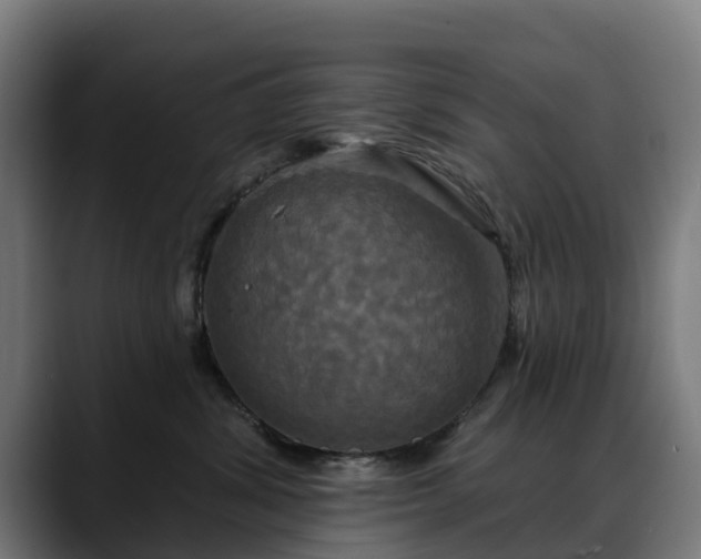 X0000088470428200705291552