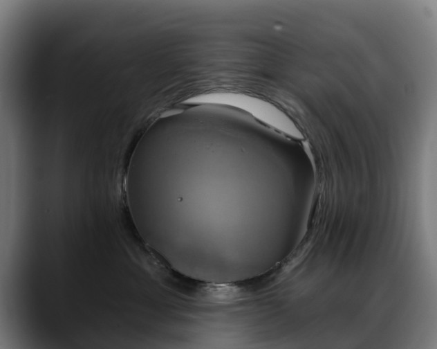 X0000088470429200705291552