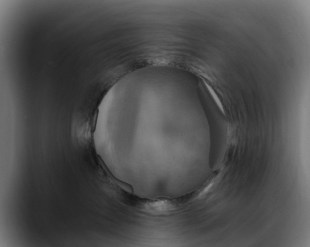 X0000088470431200705291552